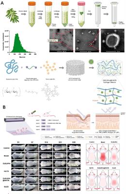 Cutting-edge developments in the application of hydrogels for treating skin photoaging